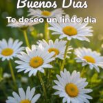 buenos días te deseo un lindo día