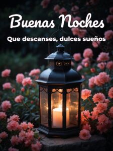 Imágenes tiernas para desear buenas noches