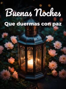 Imágenes tiernas para desear buenas noches para WhatsApp