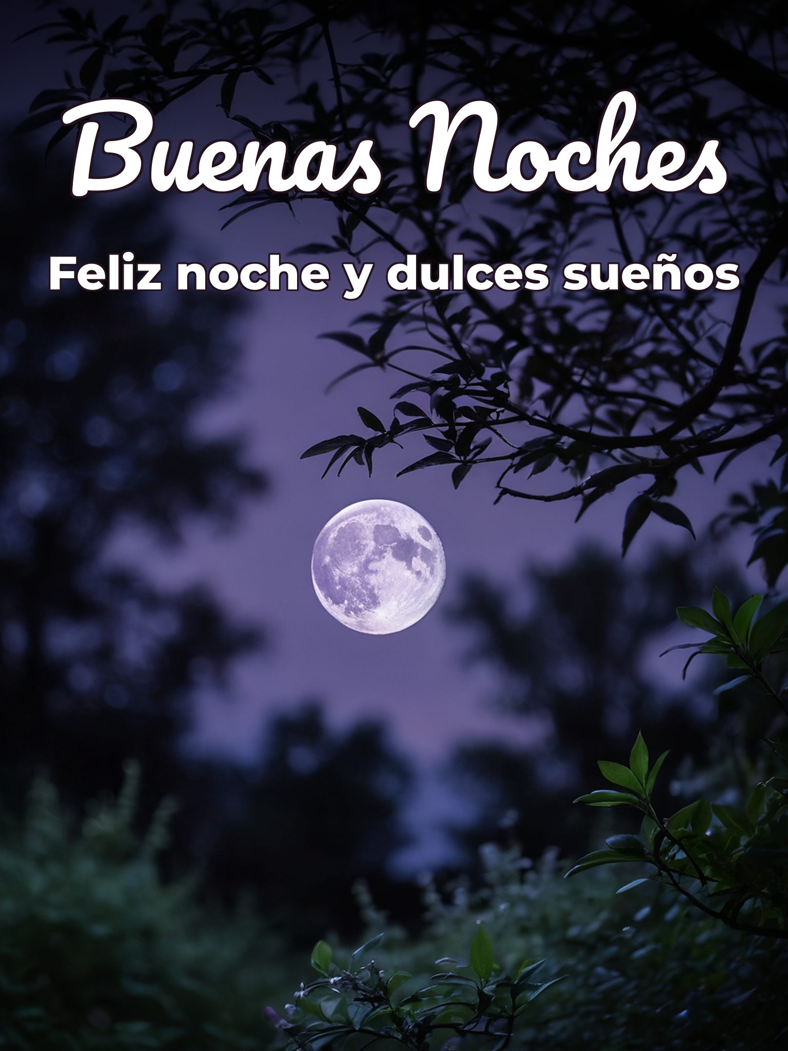 Imágenes y pensamientos de buenas noches para Facebook