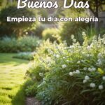 buenos días empieza tu día con alegría