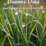 buenos días que tengas un día maravilloso