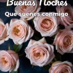 buenas noches que sueñes conmigo