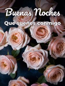 Imajenes de buenas noches amor para Facebook