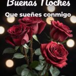 buenas noches que sueñes conmigo