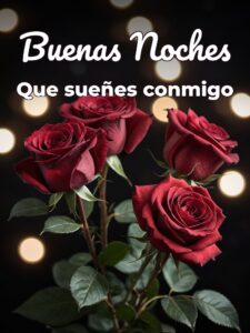Imajenes de buenas noches amor para WhatsApp
