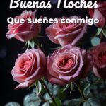 buenas noches que sueñes conmigo
