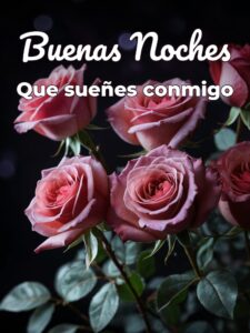 Imajenes de buenas noches con amor para WhatsApp
