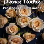 buenas noches pensando en ti esta noche