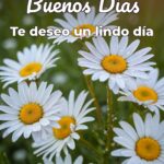 buenos días te deseo un lindo día