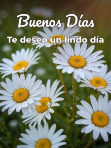 Imajenes para los buenos días para celular