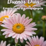 buenos días empieza tu día con alegría