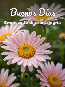Imajenes para los buenos días para descargar