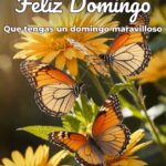 feliz domingo que tengas un domingo maravilloso