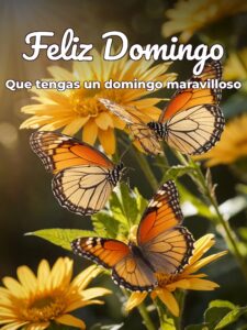 Juegos de feliz domingo para celular