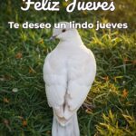 feliz jueves te deseo un lindo jueves