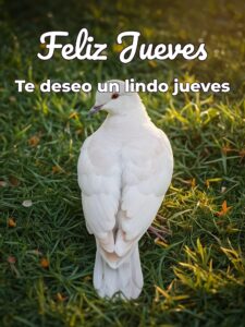 Jueves de bendiciones