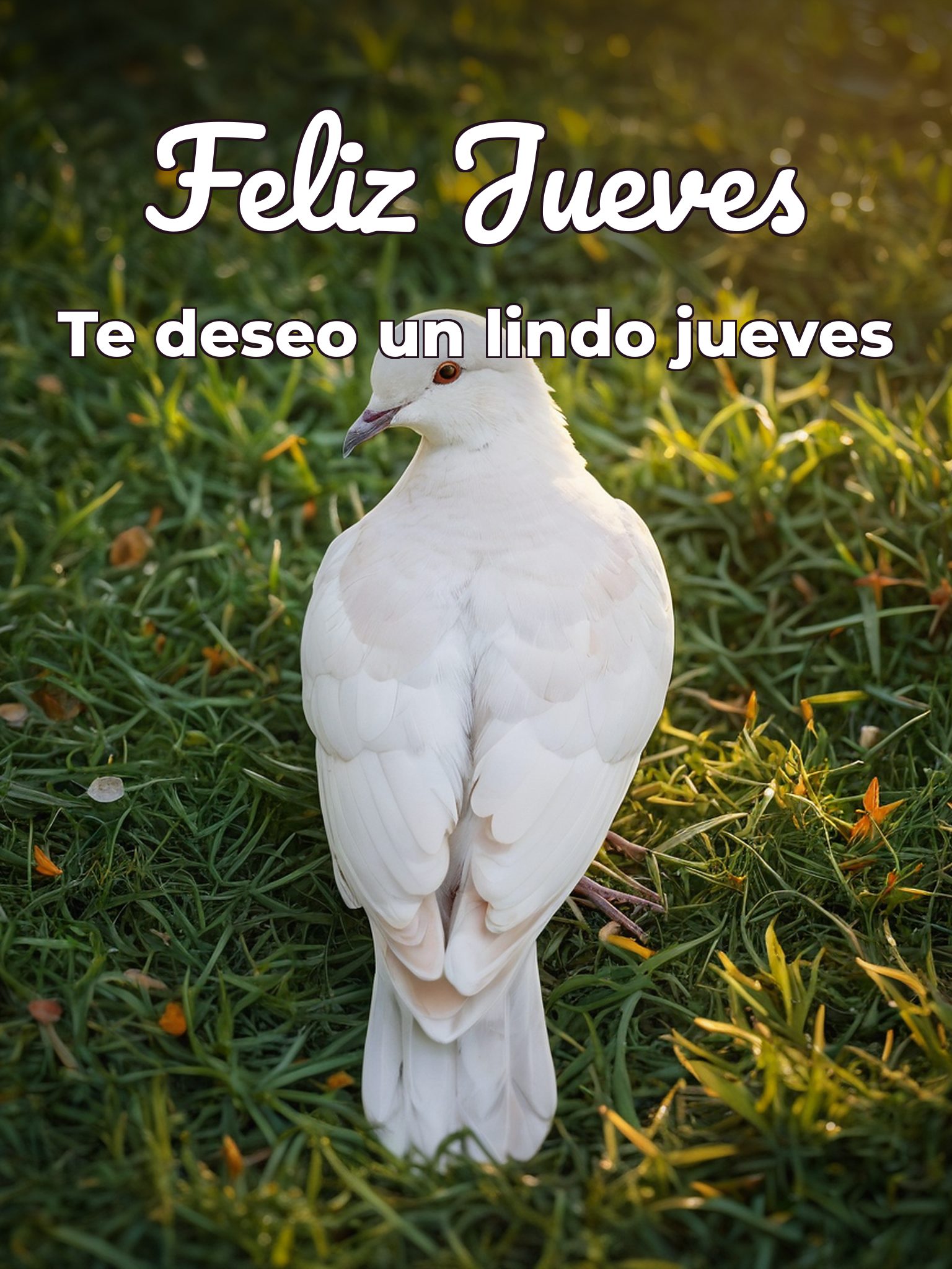 Jueves de bendiciones