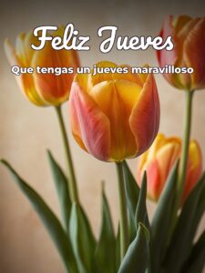 Jueves frase del día para celular descargar