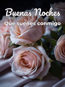 Las mejores buenas noches para mi novia