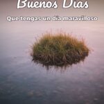 buenos días que tengas un día maravilloso