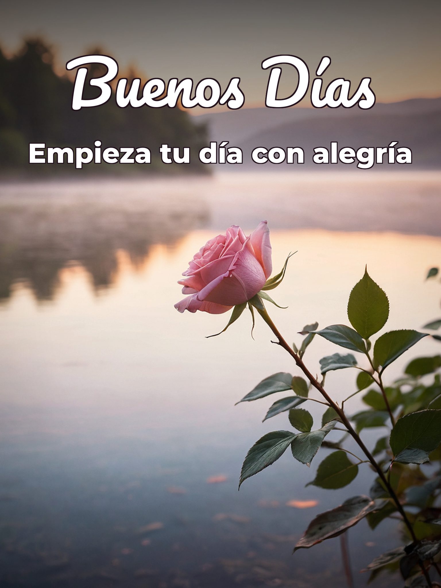 Las mejores frases para dar los buenos días para WhatsApp