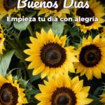 buenos días empieza tu día con alegría