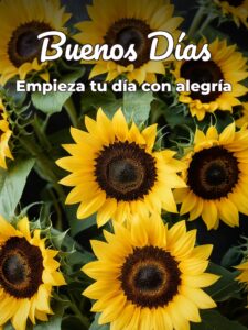 Las mejores palabras de buenos días para WhatsApp