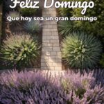 feliz domingo que hoy sea un gran domingo