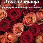feliz domingo que tengas un domingo maravilloso