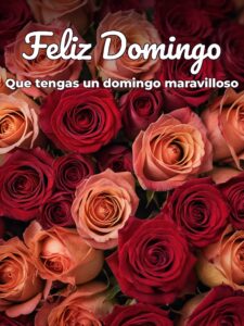 Lindo domingo amor para celular