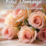 feliz domingo que dios bendiga tu domingo