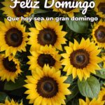 feliz domingo que hoy sea un gran domingo