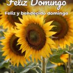 feliz domingo feliz y bendecido domingo
