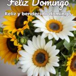 feliz domingo feliz y bendecido domingo