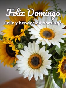 Lindo domingo para WhatsApp