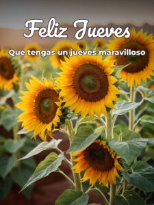 Lindo jueves frases para celular descargar