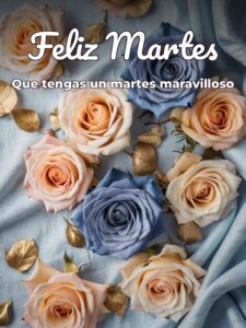 Lindo martes amor para descargar gratis