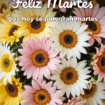 feliz martes que hoy sea un gran martes