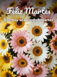 Lindo martes con flores para descargar gratis