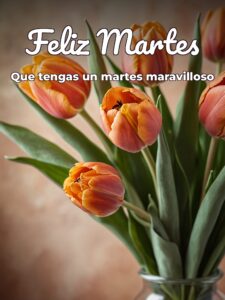 Lindo martes con flores para WhatsApp gratis para celular