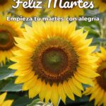 feliz martes empieza tu martes con alegría