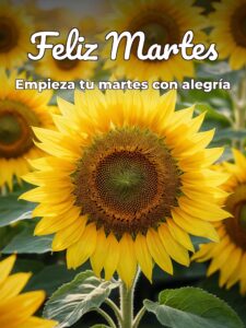 Lindo martes para descargar gratis