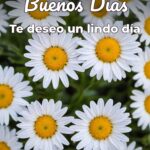 buenos días te deseo un lindo día
