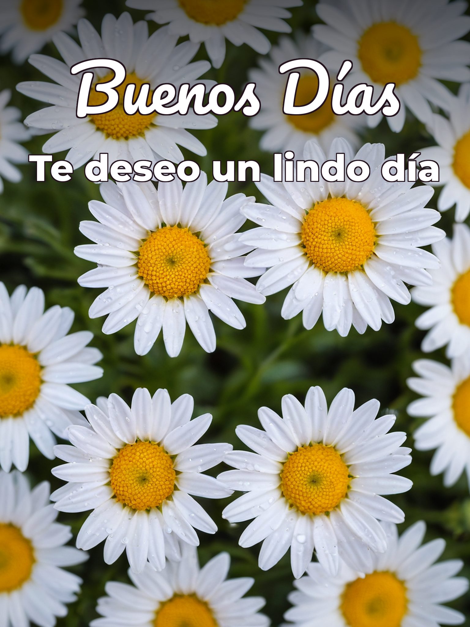 Lindo msj de buenos días para WhatsApp