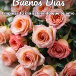 buenos días empieza tu día sabiendo que te amo