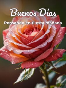 Los buenos días para mi amor