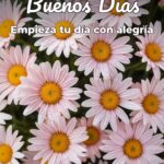 buenos días empieza tu día con alegría