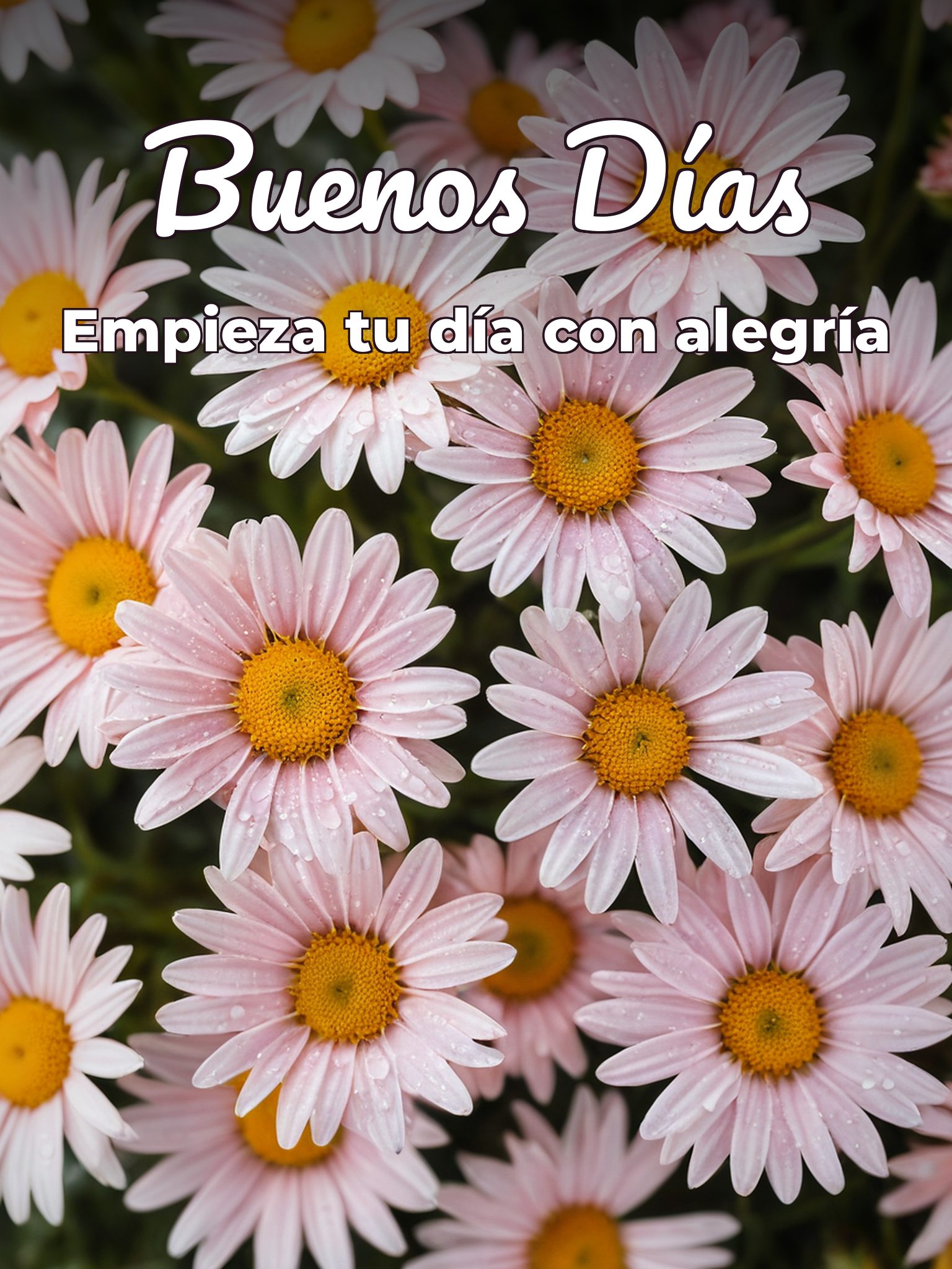 Los buenos días para WhatsApp