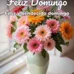 feliz domingo feliz y bendecido domingo